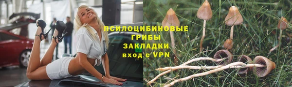 прущая мука Верея