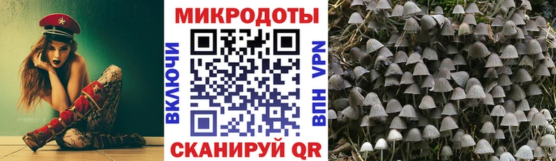 Псилоцибиновые грибы ЛСД  Калязин 